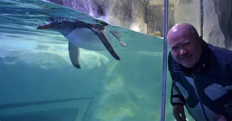 phil mitchell aquarium|Steve McFadden .